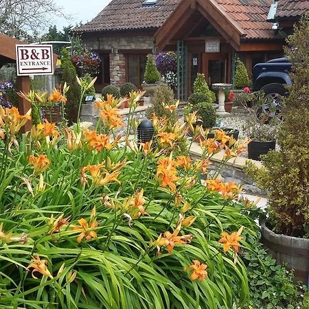 Bridge Farm Guesthouse Rooms Dundry Экстерьер фото