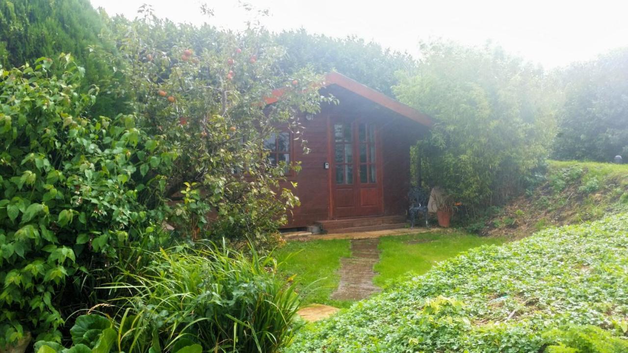 Bridge Farm Guesthouse Rooms Dundry Экстерьер фото
